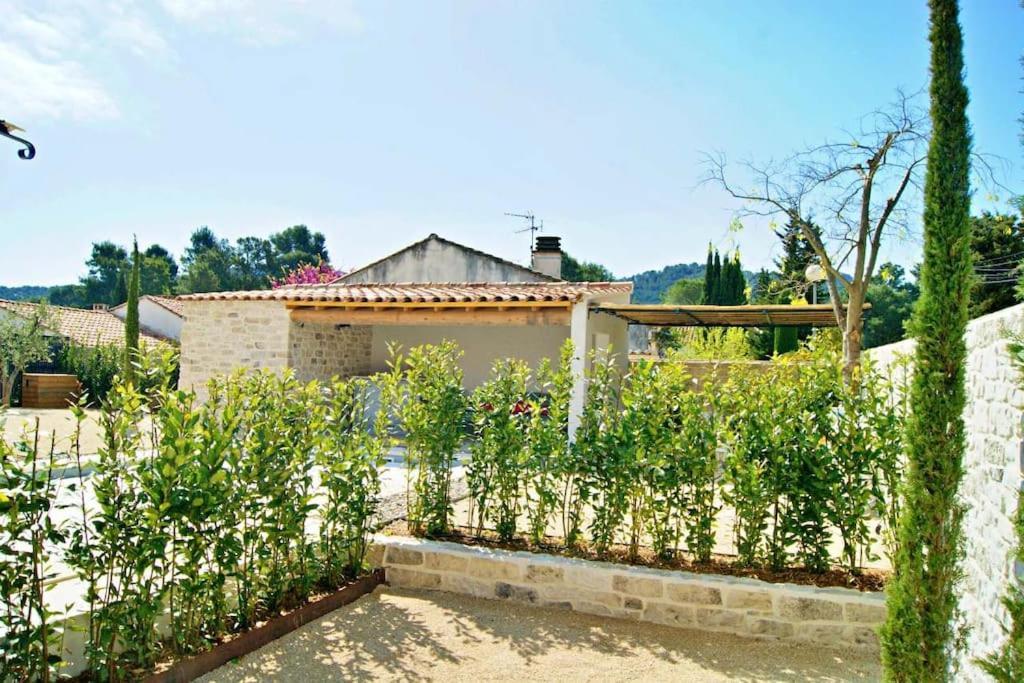 La Maison D'Angele Saint Remy De Provence Saint-Rémy-de-Provence Exterior foto